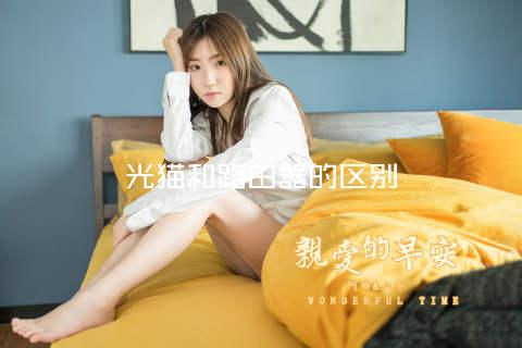 光猫和路由器的区别